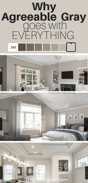 Neutral Gray Paint, Perfect Greige, Greige Paint Colors, Greige Paint, Blue Gray Paint, Agreeable Gray, Popular Paint Colors, Gray Walls, Gray Paint