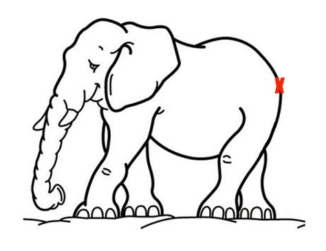 The Heath Bar: Pin The Tail On The Elephant Zoo Coloring Pages, Zoo Animal Coloring Pages, Elephant Coloring Page, Puppy Coloring Pages, Elephant Pictures, Valentines Day Coloring Page, Valentines Day Coloring, Bird Coloring Pages, Dog Coloring Page