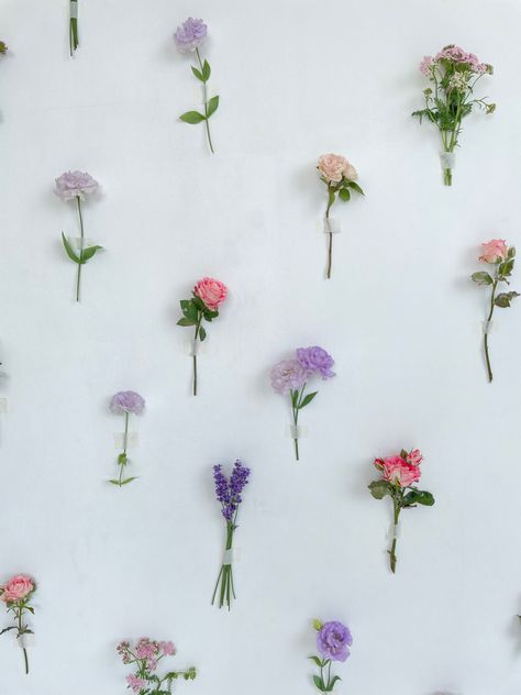 Flower Wallpaper Backdrop, Photoshoot Wall Backgrounds, Flower Background For Photoshoot, Wall Decor For Photoshoot, Background Wall For Photoshoot, Flower Backdrop Photoshoot, Photoshoot Background Ideas, Flower Background Photoshoot, Photoshoot Wall