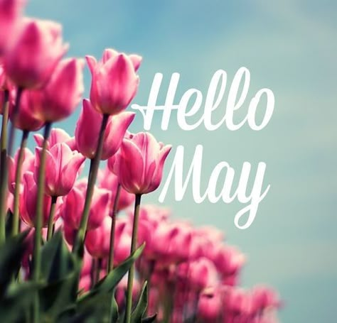 May Images, May Pictures, Hello New Month, Happy New Month Quotes, May Month, New Month Quotes, Welcome May, May Quotes, Month May