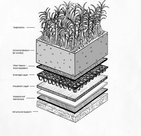 Green Roof Design Architecture, Rooftop Amenities, Green Roof Design, Extensive Green Roof, Green Roof Garden, Construction Details Architecture, Green Roof System, Garden Details, Pattern Language