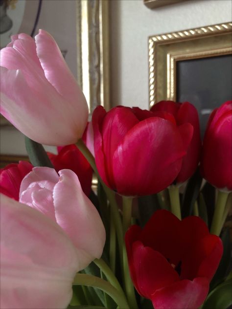 #flowers #floral #tulips #red #pink #nature #bouquet #aesthetic Red And Pink Tulips, Nature Bouquet, Bouquet Aesthetic, Pink Nature, Pink Tulips, Tulips Flowers, Camera Roll, Tulips, Valentines