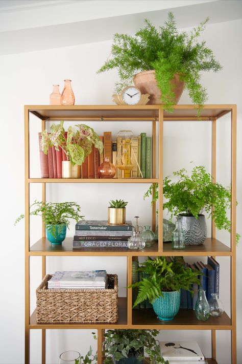 Gold Bookshelf, Unique Bookcase, Gardening Indoors, Unique Bookshelves, Beautiful Bookshelf, Bookshelf Inspiration, Cool Bookshelves, Framed Photos, Bookshelf Design