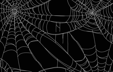 Spider Web Background Gothic Background, Halloween Desktop Wallpaper, Mac Backgrounds, Helloween Wallpaper, Spiderman Web, Goth Wallpaper, Gothic Wallpaper, Laptop Backgrounds, Cute Laptop Wallpaper