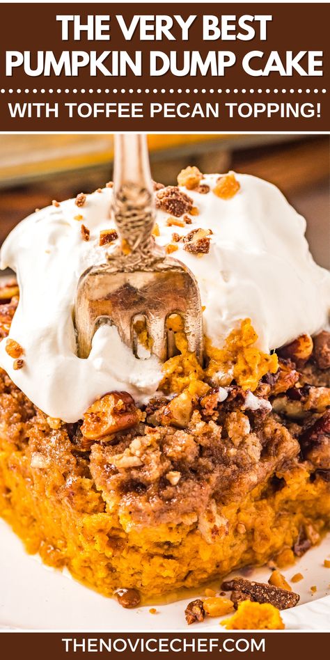 Nothing says fall better than pumpkin! This is my favorite recipe for an easy Pumpkin Dump Cake using a boxed mix that has a cakey, decadent texture and a crunchy pecan-toffee topping. New Neighbor Cake, Pumpkin Butter Pecan Cake, Better Than Anything Pumpkin Cake, Pumpkin Pecan Dump Cake Recipe, Pumpkin Spice Crumb Cake 12 Tomatoes, Fall Dump Cake Recipes, Pumpkin Pecan Dump Cake, Pumpkin Magic Bars, Easy Pumpkin Dump Cake