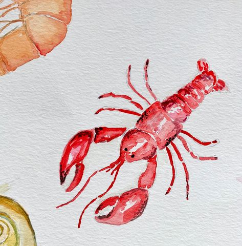 Watercolor Lobster Painting, Lobster Drawing Simple, Clownfish Watercolor, Seafood Watercolor, Crawfish Painting, Watercolor Crawfish, Lobster Sketch, Seafood Painting, Lobster Watercolor