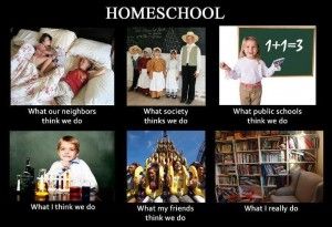 bam: Adult Homeschoolers Speak Out: Stereotypes: Better or worse today? Homeschool Humor, Homeschool Fun, Mayim Bialik, School Rules, Homeschool Life, Call My Mom, Clean Humor, Unschooling, Homeschool Mom