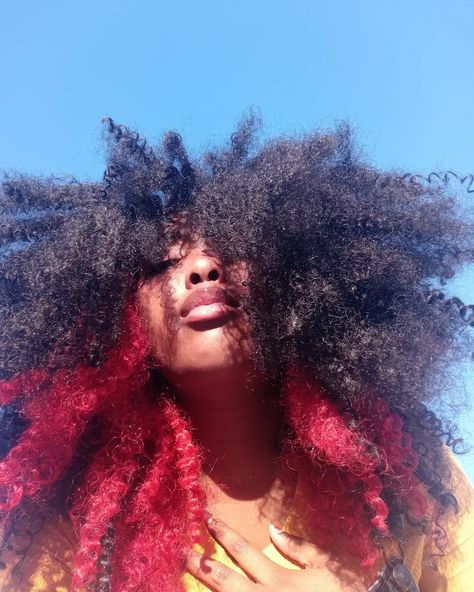 Curly hair, afro hair, peek a boo hair, red dyed hair, alt black girl hair Peek A Boo Hair Curly, Peek A Boo Natural Hair, Peak A Boo Hair Color Curly Hair, Peek A Boo Curly Hair, Skunk Hairstyle, Curly Hair Peekaboo Color, Peek A Boo Hair Color, Peak A Boo Hair, Peekaboo Hair Color Ideas