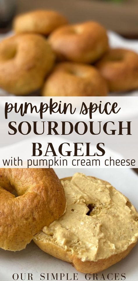 These homemade pumpkin spice sourdough bagels with pumpkin cream cheese are the best cozy fall recipe you will want to make again and again. They make for the perfect easy breakfast that everyone in the family will love. Sourdough Pumpkin Bagels Recipe, Sourdough Pumpkin Bagel Recipe, Pumpkin Spice Sourdough Bagels, Sourdough Discard Pumpkin Bagels, Pumpkin Sourdough Boule, Pumpkin Spice Bagels, Mini Sourdough Pumpkin Loaves, Chocolate Sourdough Bagels, Pumpkin Spice Sourdough