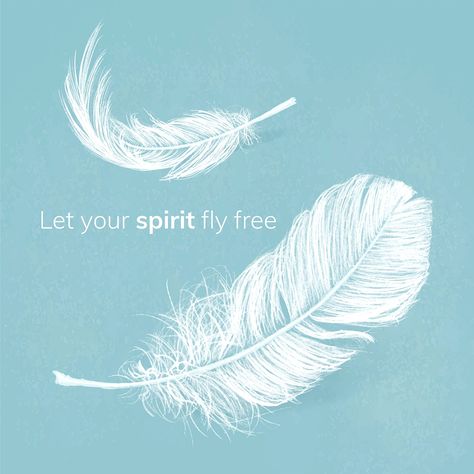 Wing Vector, Feather Quotes, Blue Cheer, Blue Quotes, Facebook Post Template, Free Illustration Images, Mecca Wallpaper, Fly Free, Aesthetic Template