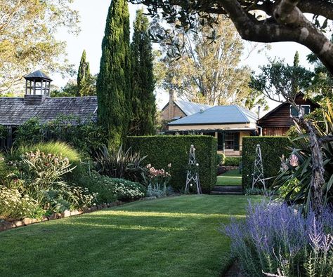 Australian Country Garden, Country Garden Australian, Glenmore House, Palm Springs Garden, Australian Country Houses, Full Sun Garden, Scent Garden, Backyard Plan, Lush Lawn