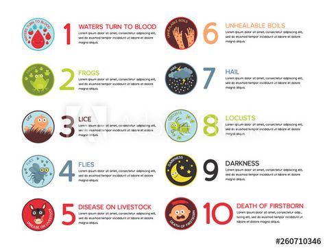 Stock Image: Infographic of Ten Plagues of Egypt- Vector The 10 Plagues Of Egypt, Ten Plagues Of Egypt, 10 Plagues Of Egypt, 10 Plagues, Plagues Of Egypt, Ten Plagues, Blood In Water, Hebrew Lessons, Bible Journal Notes