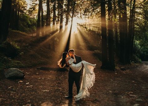 Redwood Forest Wedding, Forest Engagement Photos, Wedding Fotos, Forest Theme Wedding, Forest Engagement, Wedding Portrait Poses, Big Sur Wedding, Enchanted Forest Wedding, Wedding Picture Poses