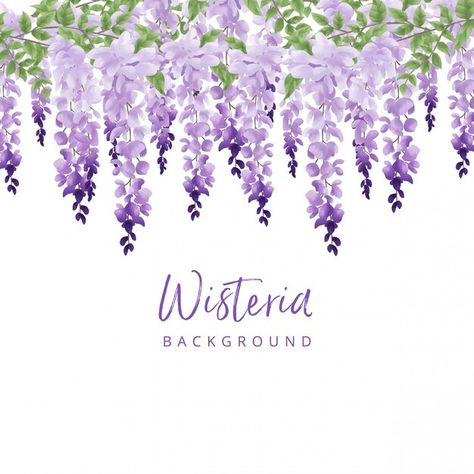 Wisteria watercolor background Premium V... | Premium Vector #Freepik #vector #background #flower #watercolor #floral Wisteria Watercolor, Background Flower, Wall Painting Decor, Flower Watercolor, Watercolor Flower Art, 수채화 그림, Purple Flower, Floral Background, Flower Backgrounds