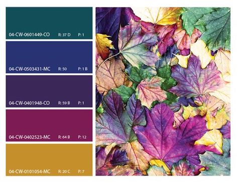 Autumn leaf color, Jewel tones and Leaves on Pinterest Jewel Tone Color Palette, Autumn Leaf Color, Tertiary Color, Color Schemes Colour Palettes, Jewel Tone Colors, Autumn Colours, Color Palette Design, Leaf Coloring, Color Inspo