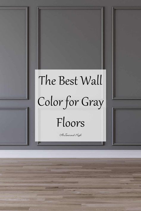 Grey Flooring Living Room, Grey Paint Living Room, Gray Floors, Light Grey Flooring, Best Wall Colors, Dining Room Accent Wall, Grey Walls Living Room, Gray Painted Walls, Wall Color Combination