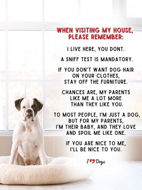 For those visiting our house!! House Rules, Our House, Dog Hair, Image Quotes, Like You, Parenting, Quotes