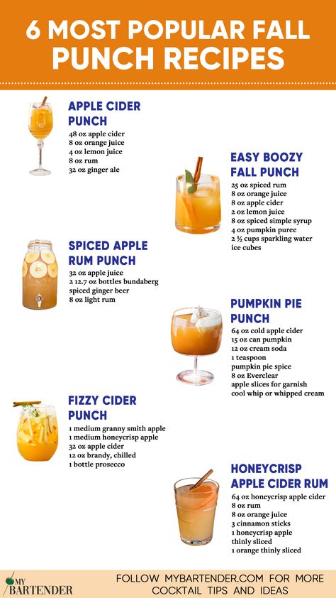 Fall Punch Recipes Fall Alcoholic Punch For A Party, Spiked Apple Cider Punch Halloween Party, Thanksgiving Cider Punch, Drinks To Make With Apple Cider, Fall Time Alcoholic Drinks, Cider Punch Alcohol, Holiday Drinks Alcohol Recipes, Fall Mix Drinks Alcoholic, Fall Apple Cider Punch