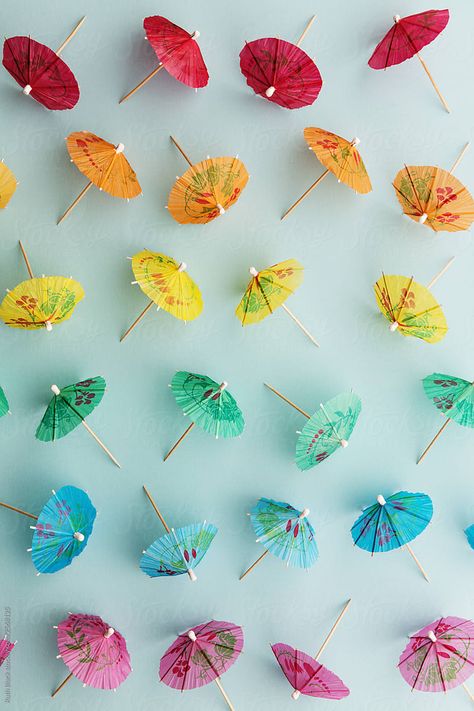 Cocktail Umbrella, Purple Flower Background, Umbrella Photo, Cocktail Umbrellas, Black Royalty, Colorful Cocktails, Flower Background, Purple Backgrounds, Flower Backgrounds