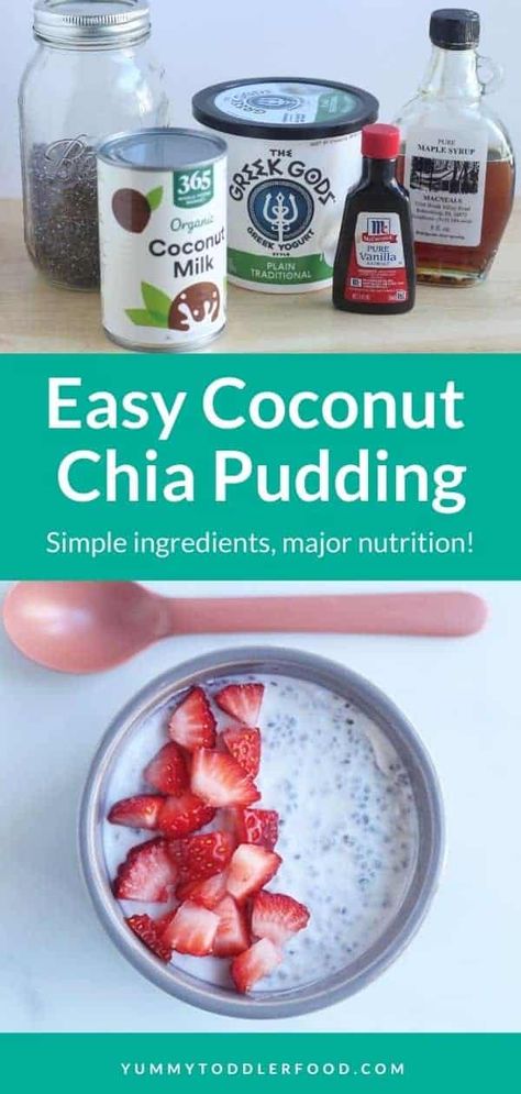 Favorite Coconut Chia Pudding Breakfast Toddler, Toddler Snack, Pudding Chia, Coconut Chia Pudding, Avocado Chocolate Pudding, Coconut Chia, Healthy Food Facts, Chia Seed Pudding, Homemade Breakfast