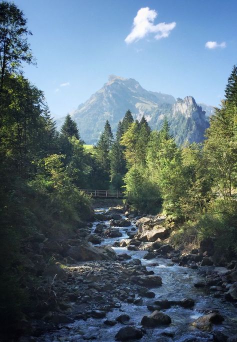 Stream Landscape, Mountain Streams, Mountain Stream, Beautiful Places Nature, Green Landscape, Natural Scenery, Jolie Photo, Alam Yang Indah, Landscape Wallpaper