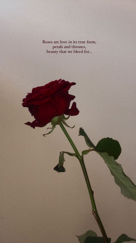 Roses With Notes Attached, Red Flower Quotes, Red Rose Quotes Love, Roses Aesthetic Quotes, Quotes About Flowers And Love Romantic, Caption For Rose Pictures, Roses Quotes Aesthetic, Roses With Quotes, Prettiest Wallpapers