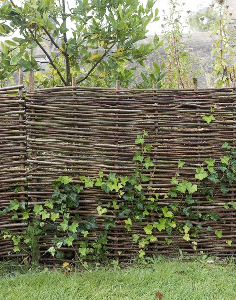 woven-fence-ben-pentreath-matthew-williamsdsc-6183 Cerca Natural, Wattle Fence, Willow Fence, Diy Garden Fence, Jardim Diy, Natural Fence, Walled Garden, Fence Landscaping, Family Garden