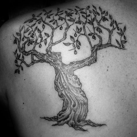 30 Olive Tree Tattoo Designs For Men - Olea Europaea Ink Ideas Tattoo Arm Wrap, Olive Tree Tattoo, Olive Tree Tattoos, Olive Tattoo, Tree Tattoo Arm, Tree Tattoo Men, Olive Branch Tattoo, Upper Back Tattoos, Tree Tattoos