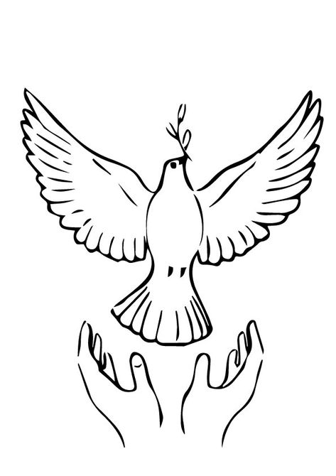 Dove Outline, Dove Drawing, Best Coloring Pages, Bird Coloring Pages, Celtic Tattoos, Peace Dove, Lion Tattoo, Skull Tattoos, Bird Drawings