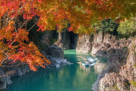 Yoshino-Kumano National Park | National Parks of Japan Skiing In Japan, Sea Of Japan, Summer Escape, Hot And Humid, Pilgrimage, Japan Travel, Natural Wonders, Wall Mural, Travel Destinations