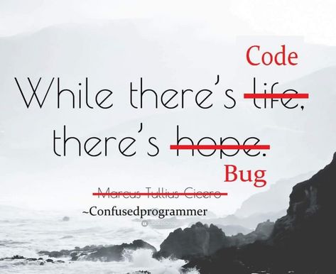 Programmer Quote - devRant Software Developer Funny Quotes, Developer Quotes Software, Coding Humor Programming Funny, Coding Jokes Programming, Software Developer Quotes, Coding Quotes Programming Funny, Funny Coding Quotes, Programming Quotes Funny, Programing Quotes Code