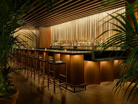 Ian Schrager, California Luxury, Edition Hotel, Public Hotel, John Pawson, Larch Wood, Romantic Restaurant, 카페 인테리어 디자인, Counter Design