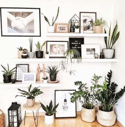 The Potted Jungle | A good #plantshelfie can always brighten your day! 🌿 📷: @crveni_div | Instagram Shelf Decor Bedroom, Hiasan Bilik Tidur, Knit Purl, Easy Knit, Bohemian Bedroom Decor, Bohemian Interior, Bohemian Living, Boho Bedroom Decor, Bedroom Boho