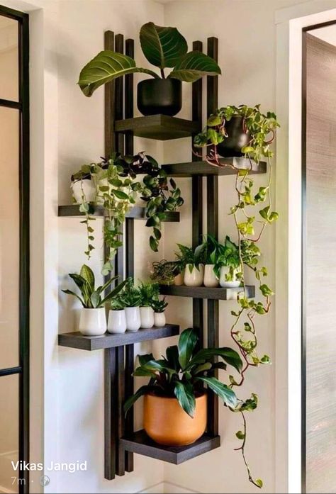 Living Room Plants Decor, Plant Display Ideas, Indoor Plant Wall, Tanaman Indoor, Plants Wall, Living Room Plants, التصميم الخارجي للمنزل, Plant Decor Indoor, House Plants Decor