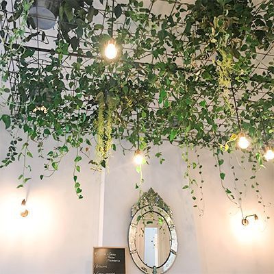 Green Inspo, Aesthetic Wall Decor, Floating Garden, Brunch Places, Hanging Plants Indoor, Hanging Vines, Diy Plant Hanger, Decoration Plante, Bedroom Plants