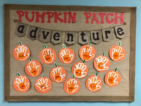 Fall Bulletin Boards Pumpkin, Fall Crafts For Bulletin Boards, Our Pumpkin Patch Bulletin Board, Halloween Pre K Bulletin Boards, Fun Classroom Themes Preschool, October School Bulletin Board Ideas, Autum Board Preschool, Preschool August Bulletin Boards, Preschool Classroom Fall Decor