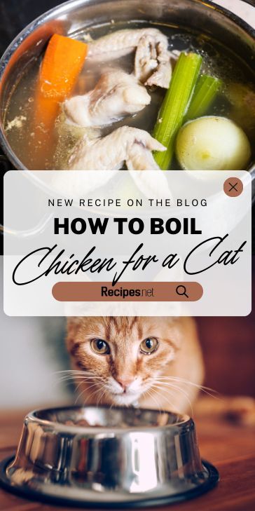 Want to make cat food homemade? Learn how to boil chicken for a cat in a few easy steps. Ensure your kitty enjoys a healthy, flavorful meal. Check out more recipes at recipes.net! #catnutrition #homemadefood #pets #healthycats #catfood Cat Food Recipes Homemade, How To Make Homemade Cat Food, Homemade Cat Food For Senior Cats, Homemade Soft Cat Food, Homemade Cat Food For Sensitive Stomach, Slow Cooker Cat Food, Chicken Cat Food Recipe, Home Made Cat Food Recipes Healthy, Homemade Urinary Cat Food