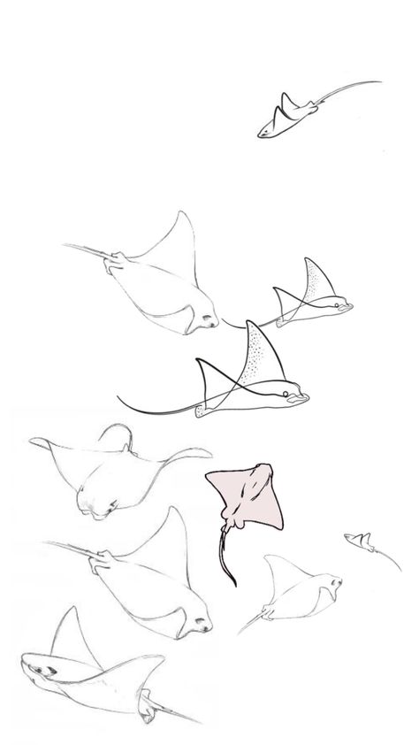 Stingray Tattoo Outline, Dainty Manta Ray Tattoo, Stingray Line Drawing, Sting Rays Drawing, 3 Stingray Tattoo, Stingray Lockscreen, Stingray Tattoo Arm, Southern Stingray Tattoo, Cute Manta Ray Drawing