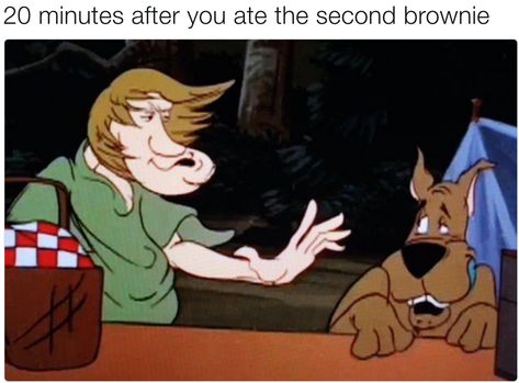 Just tell them you can smoke it. Scooby Doo Memes, Scooby Doo Mystery Inc, Scooby Doo Mystery Incorporated, Scooby Doo Mystery, Dc Memes, What’s Going On, Satire, Tumblr Funny, Tumblr Posts