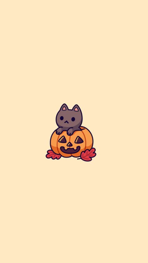 Cute Haloween Wallpers Phone, Halloween Cat Lockscreen, Cute Cat Fall Wallpaper, Fall Kitty Wallpaper, Fall Cat Aesthetic Wallpaper, Cute Fall Profile Pics, Cute Halloween Cat Wallpaper, Hallowrrn Wallpaper, Cute Halloween Pictures Aesthetic