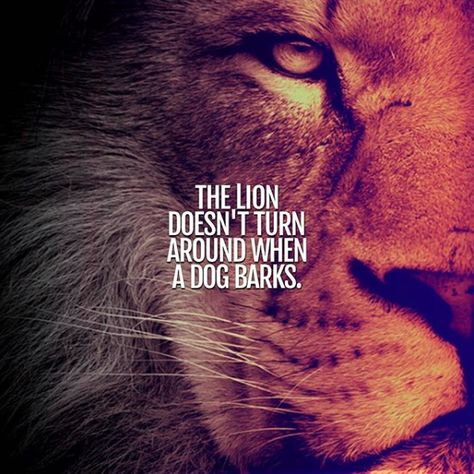 The lion doesn't turn around when a dog barks. Lioness Quotes, Quotes Distance, Lion Quotes, Motiverende Quotes, Warrior Quotes, Joker Quotes, Short Inspirational Quotes, Strong Quotes, Badass Quotes