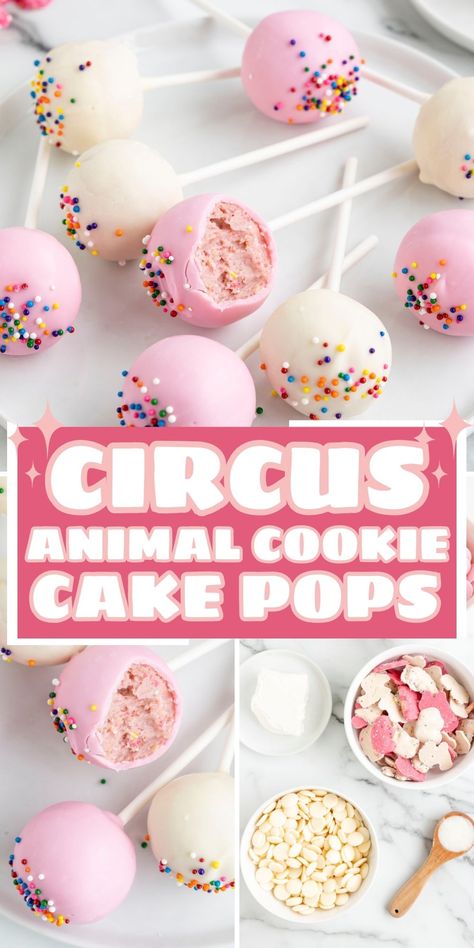 Circus Animal Cake Pops, Circus Theme Cupcakes Birthday Ideas, Animal Cracker Cake Pops, Circus Theme Party Food Snacks, Party Animal Cake Pops, Pink Cake Balls, Cake Pop Flavors Recipes, Circus Theme Treats, Unique Cake Pop Flavors