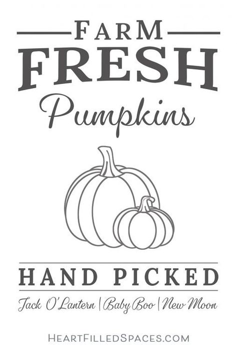 Free Fall Printables, Farm Fresh Pumpkins, Pumpkin Printable, Cricut Halloween, Free Falling, Fall Printables, Fall Svg, Autumn Crafts, Fall Projects