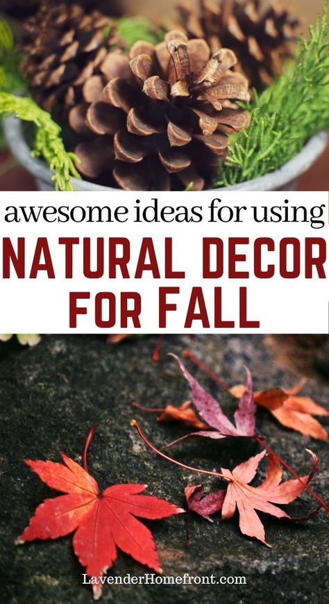 Diy Nature Halloween Decor, Simple Autumn Home Decor, Fall Mushrooms Decor, Fall Decor Ideas Using Pine Cones, Fall Decor Using Nature, How To Decorate For Autumn, Nature Inspired Fall Decor, Sustainable Fall Decorations, Fall Crafts Using Nature