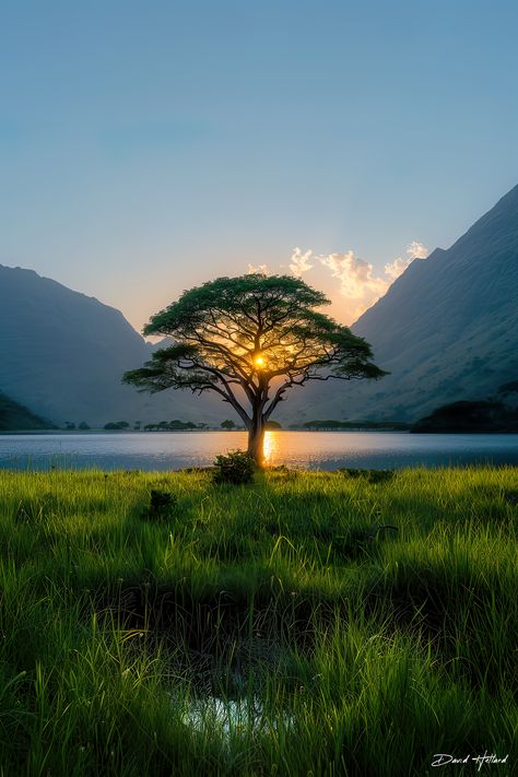 Nature Sunrise, Sunrise Mountain, Beacon Of Hope, Golden Glow, On The Horizon, Original Landscape, Landscape Nature, Stand Tall, The Horizon