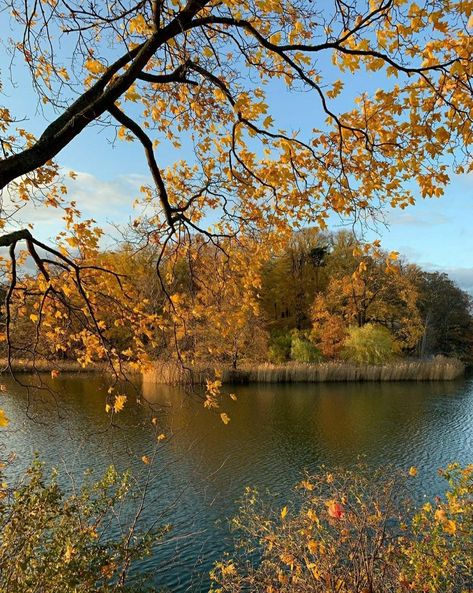 Fall Mood Board, Autumn Scenery, Season Of The Witch, Late Fall, Autumn 2024, Fall Feels, Best Seasons, Autumn Cozy, Autumn Aesthetic