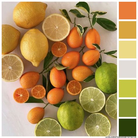 Lemon Lime Color Palette, Citrus Mood Board, Italian Color Scheme, Citrus Color Scheme, Citrus Colour Palette, Citrus Wedding Palette, Bridesmaid Color Palette Summer, Italian Summer Color Palette, Citrus Wedding Color Palette