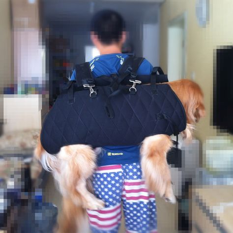 Large Dog Carrier, Dog Backpack Carrier, Dog Storage, Dog Poo Bags, Dog Travel Bag, Dog Carrier Bag, Dog Ramp, Dog List, Cheap Dogs