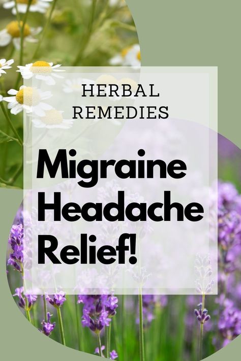 natural remedies for back pain relief Herbs For Headaches Migraine Relief, Herbal Migraine Remedies, Herbal Headache Relief, Headache Tincture Recipe, Herbs For Headache, Herbs For Migraines Headache Relief, Tea For Migraines Headache Relief, Natural Remedy For Headache, Natural Headache Relief Migraine