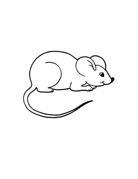 Free Printable Mouse Coloring Pages For Kids Mouse Template Printables, Divlje Zivotinje, Mouse Template, Lion And The Mouse, Mouse Paint, Mickey Mouse Coloring Pages, Mouse Drawing, Mouse Crafts, Mouse Color